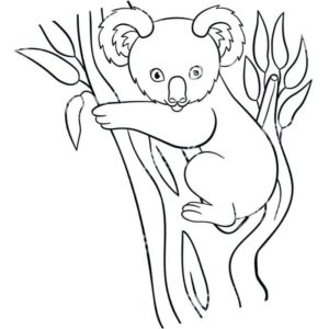 милая коала на дереве