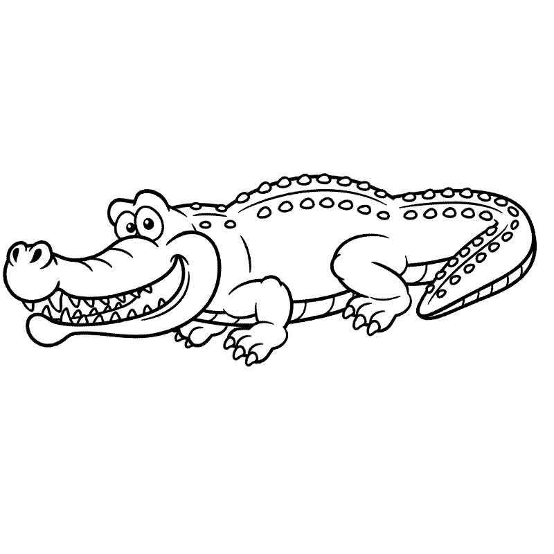 Крокодил раскраска