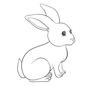 Милый легкий кролик