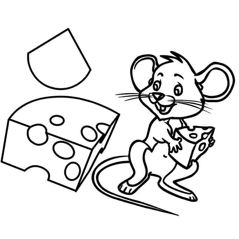 мышь и много сыра