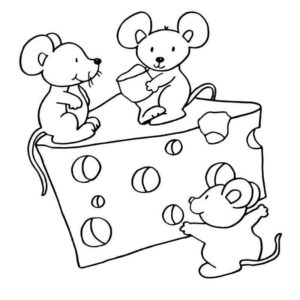 мышь кушают сыр