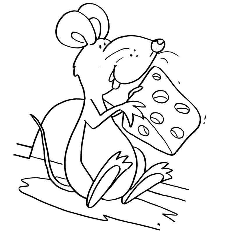 Мышь юбитель сыра