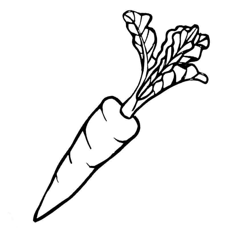морковка с огорода