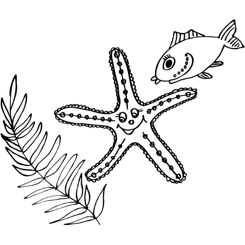 морская звезда и рыбка
