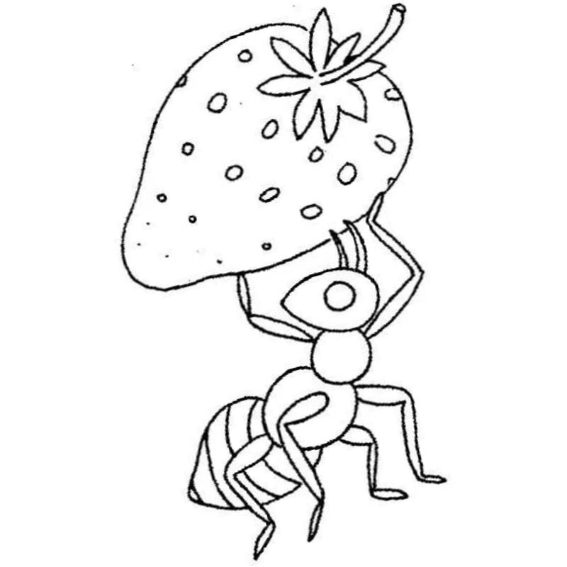 муравей и клубника