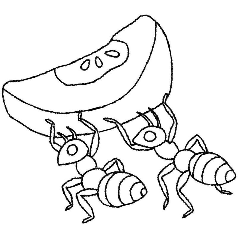 муравей тащят еду