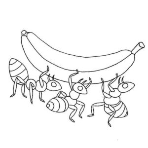 муравьи несут банан