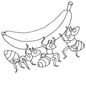 муравьи тащят банан