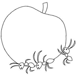 муравьи тащят яблоко