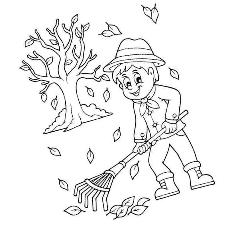 мужчина убирает осенние листья