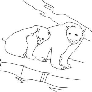 наблюдательные белые медведи