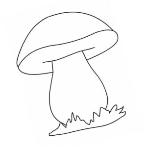небольшой гриб