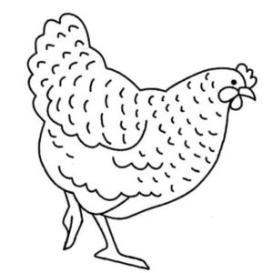 необычная курица