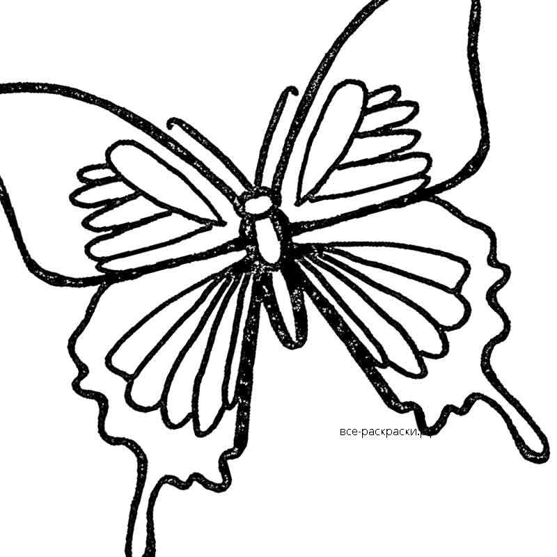 Нежная бабочка