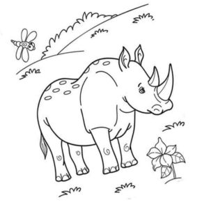 носорог на полянке и стрекоза