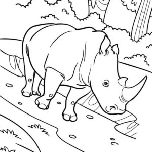 носорог прогуливается по африке