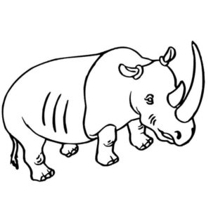 носорог с большим рогом