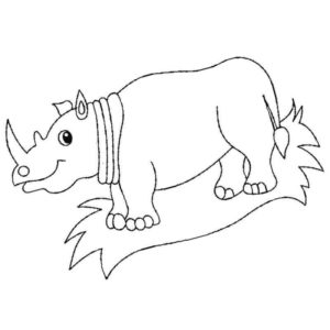 носорог стоит на траве