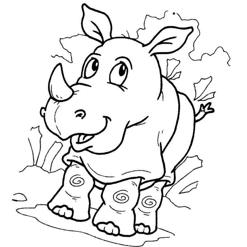 носорог в луже