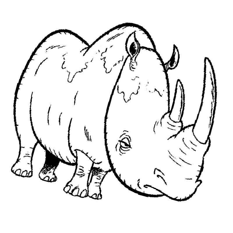 Раскраска носорог - Бесплатно Онлайн или Распечатать!