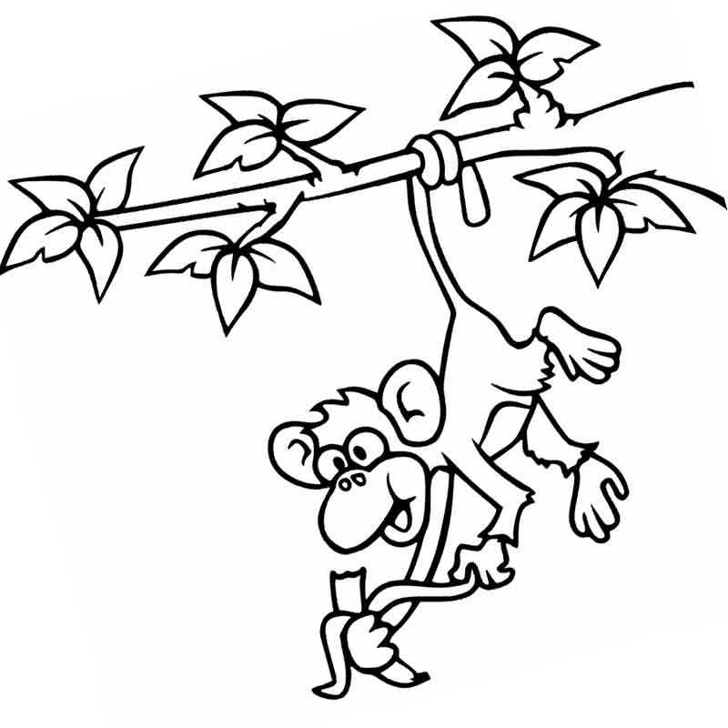 обезьянка любит кушать на дереве