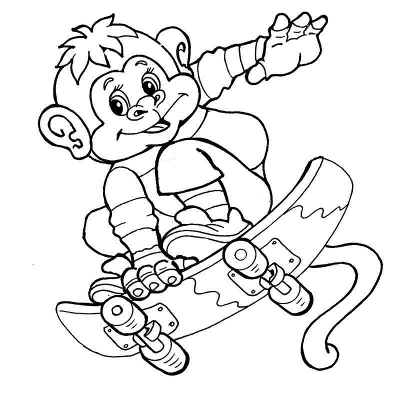 обезьянка на скейтборде