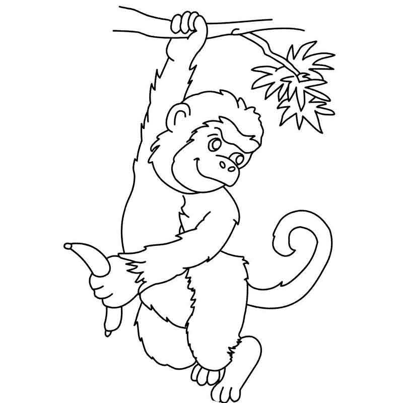 обезьянка тресет дерево