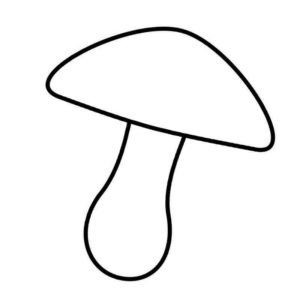 обычный гриб