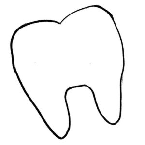 обычный зуб