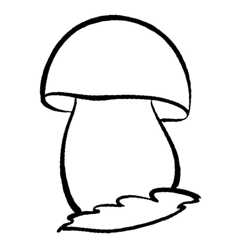 один гриб