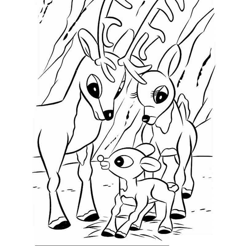 олень и его семья
