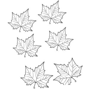 осенние листья клена