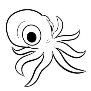 осьминог с глазами
