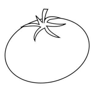 овальный помидор