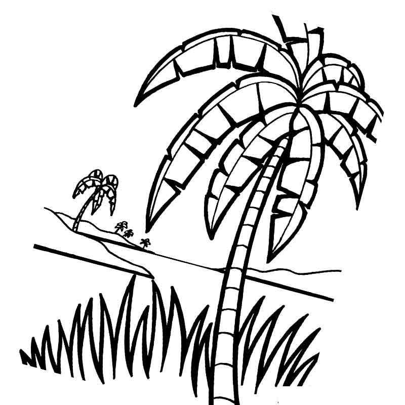 пальма растет в траве