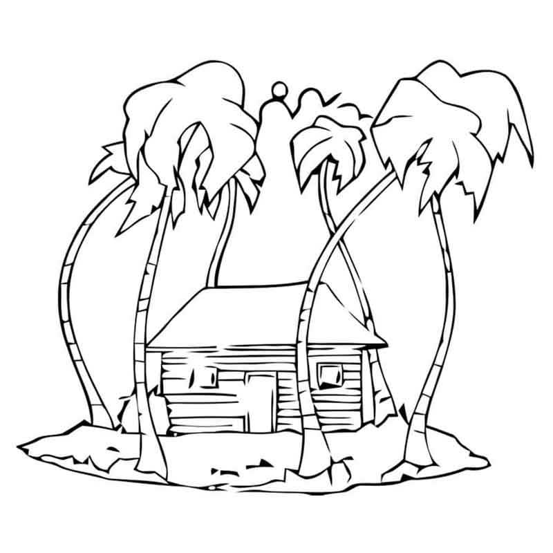 пальмы и дом