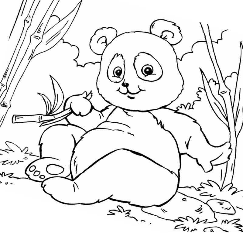 панда на отдыхе