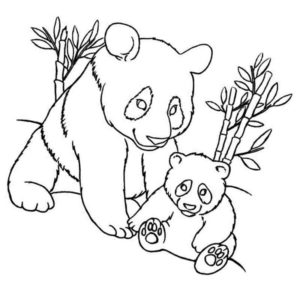 панда с малышом