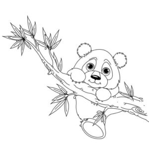 панда весит на ветке дерева