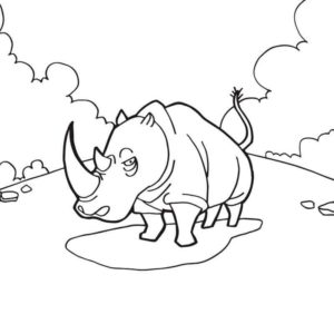 Папа носорог