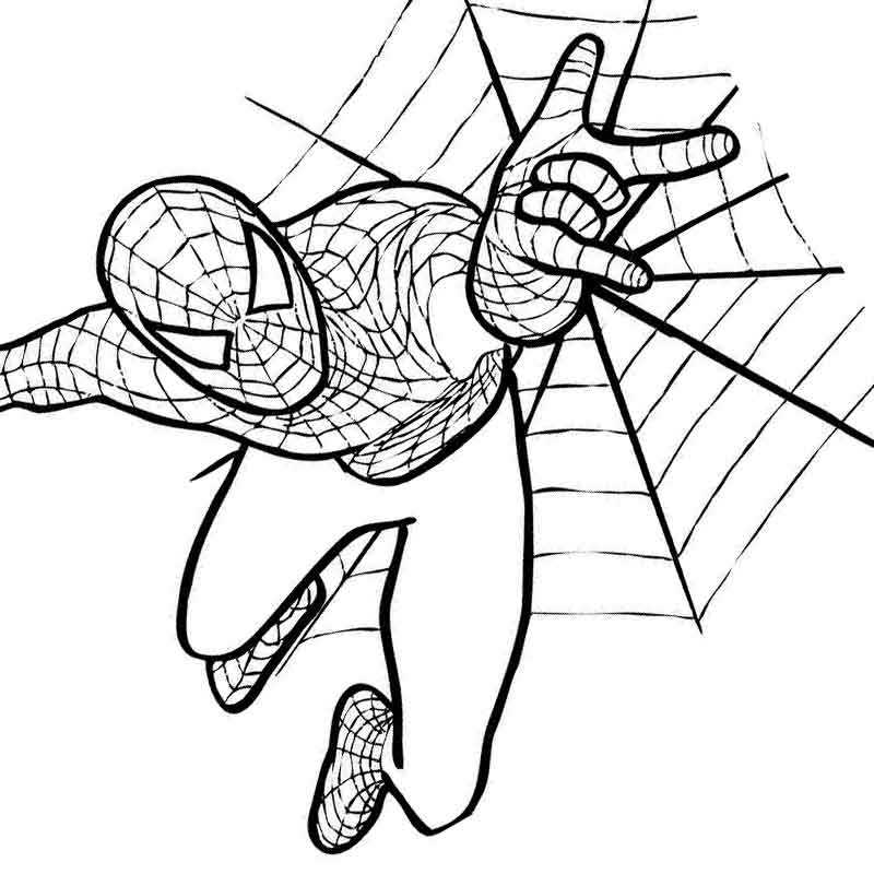 Человек паук раскраска