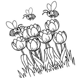 пчелы кружат над тюльпанами