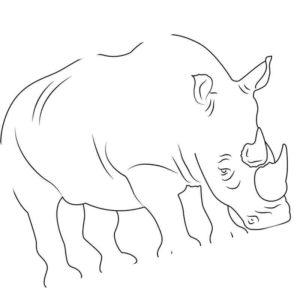 печальный носорог