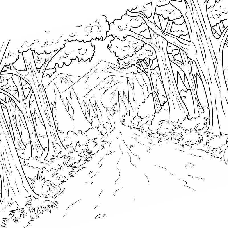 пейзаж лес и дорога
