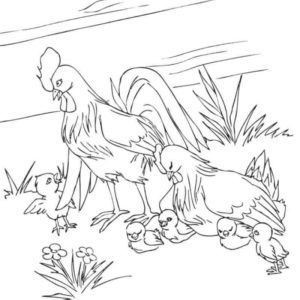 петух с курицей гуляют с цыплятами