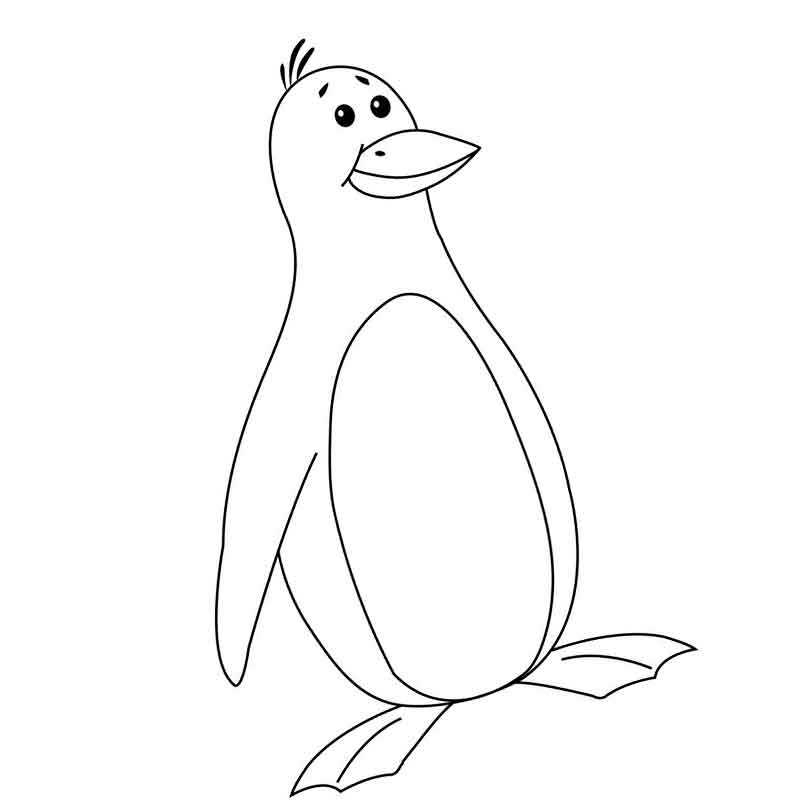 пингвин Антарктиды