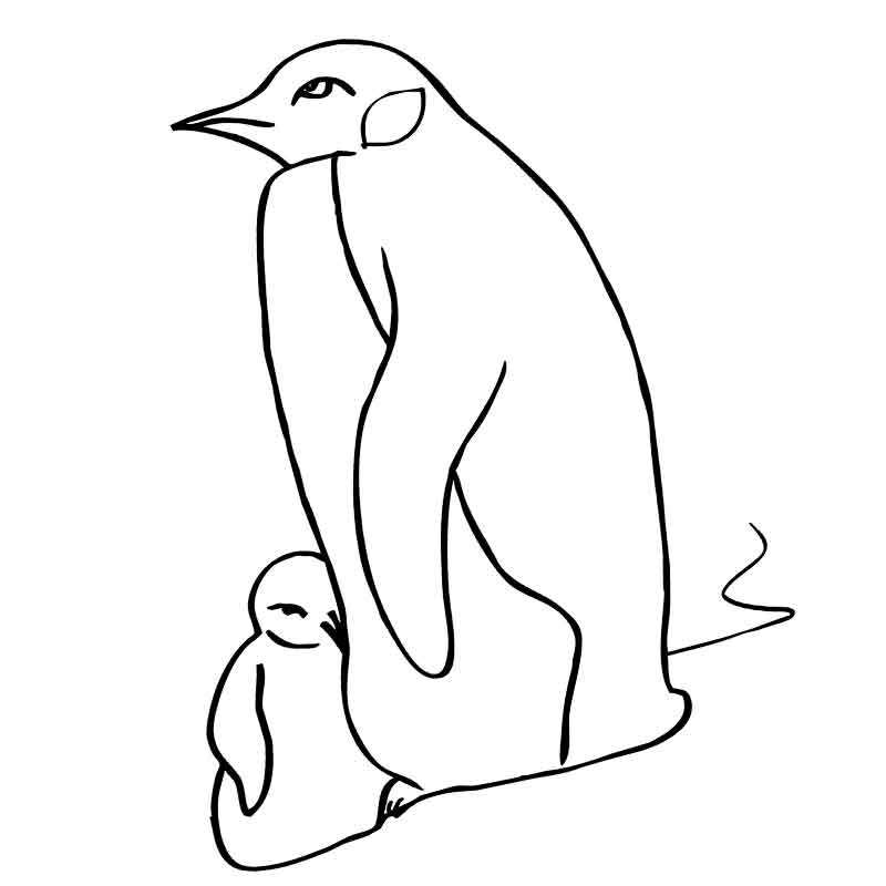 пингвин и пингвиненок