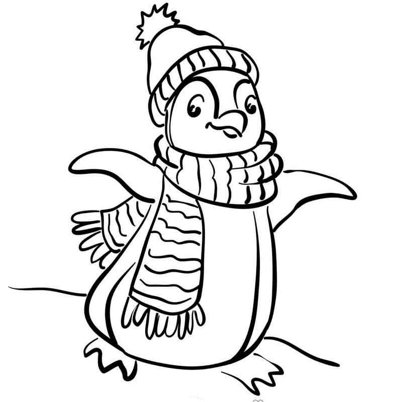 пингвин в шарке и шарфе