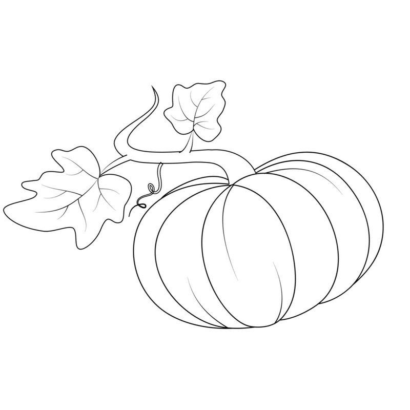плод и листья тыквы