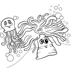 Подводные водоросли